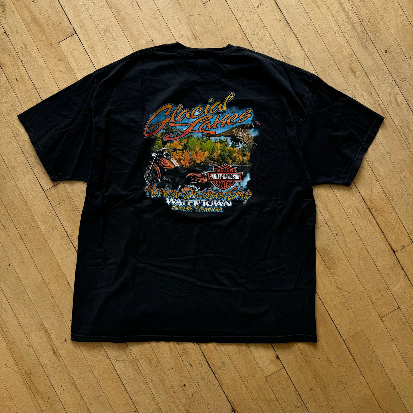 Y2K WaterTown South Dakota Harley Davidson T-shirt Sz XXXL