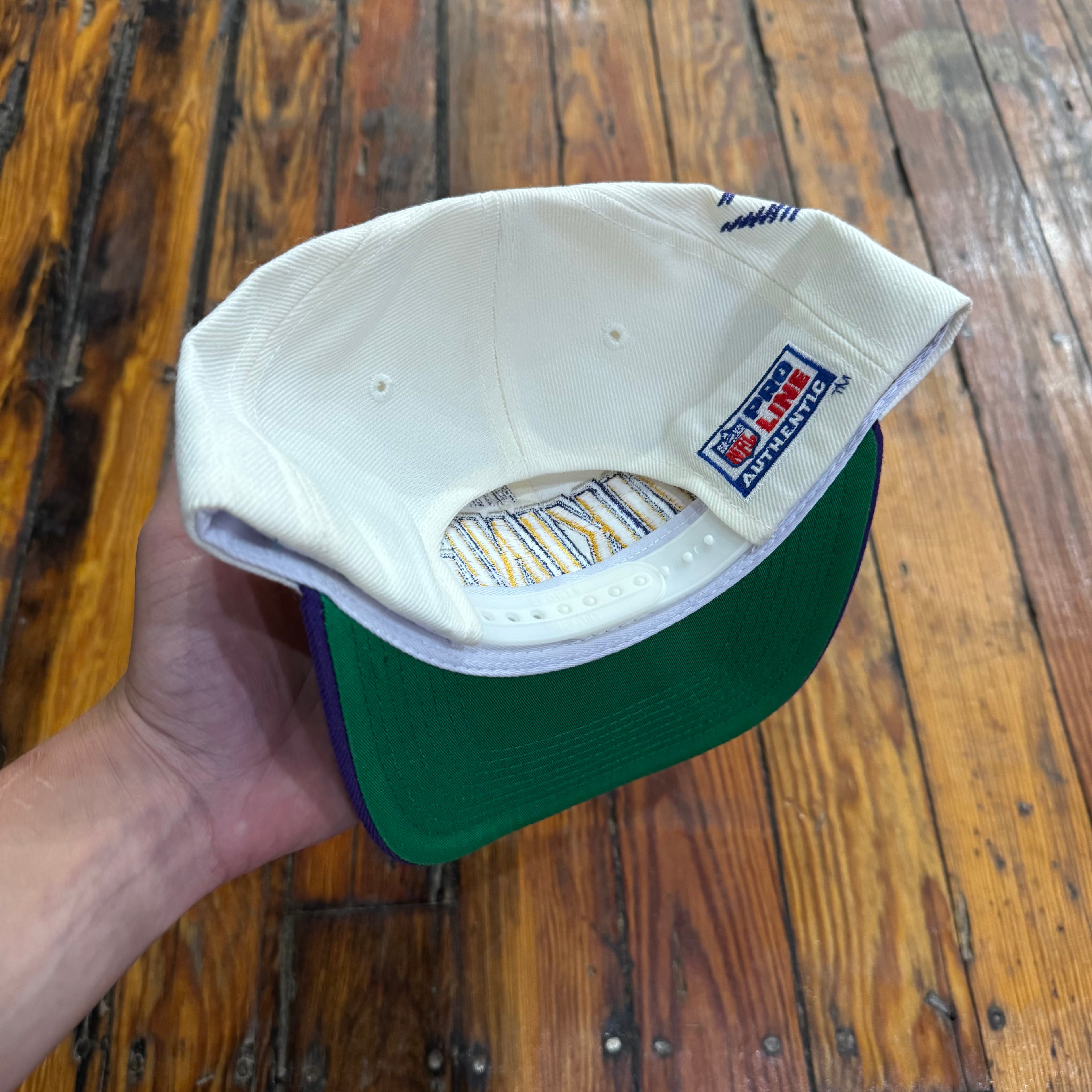 Vintage Minnesota Vikings SnapBack Hat