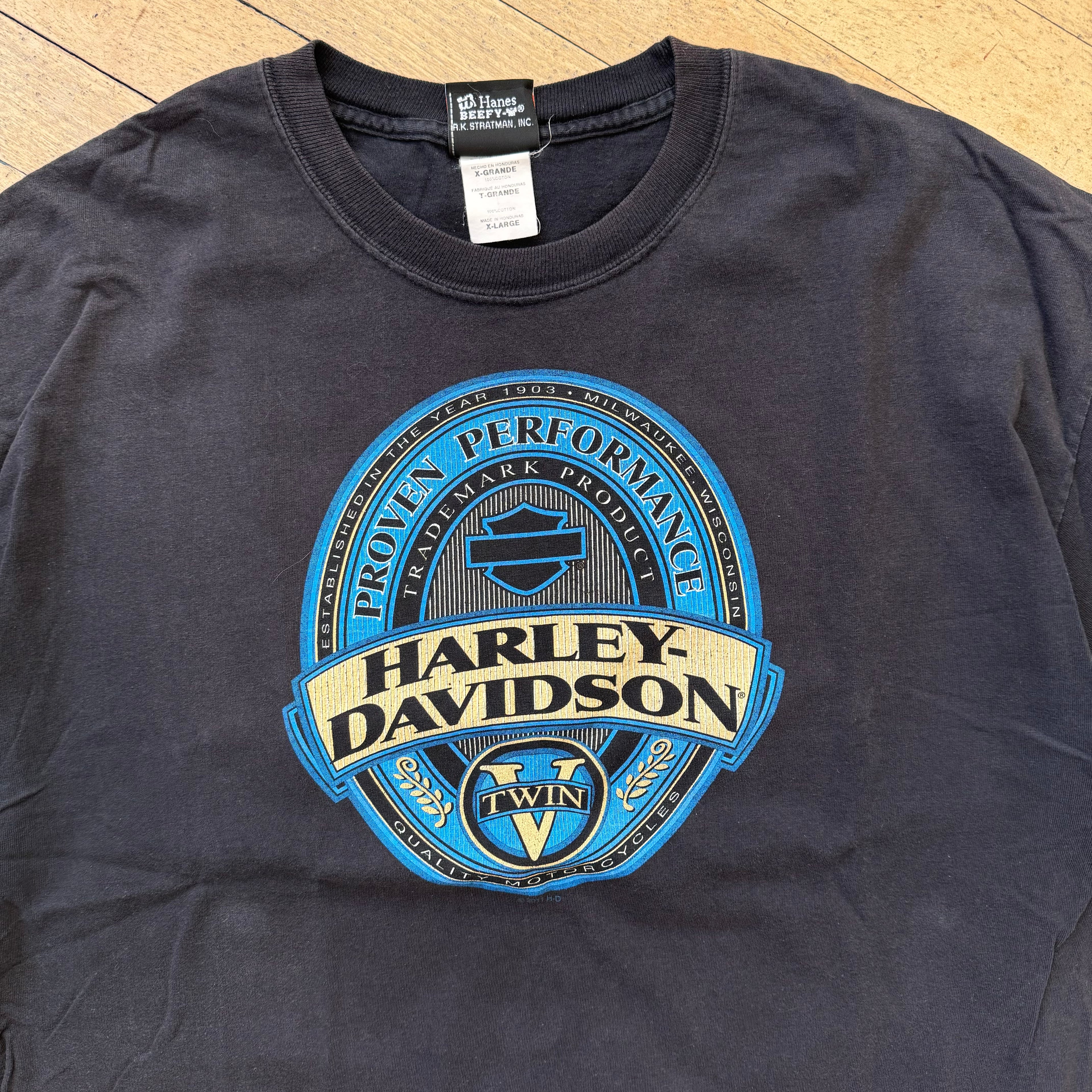 Vintage Harley Davidson Viking Land Sz L