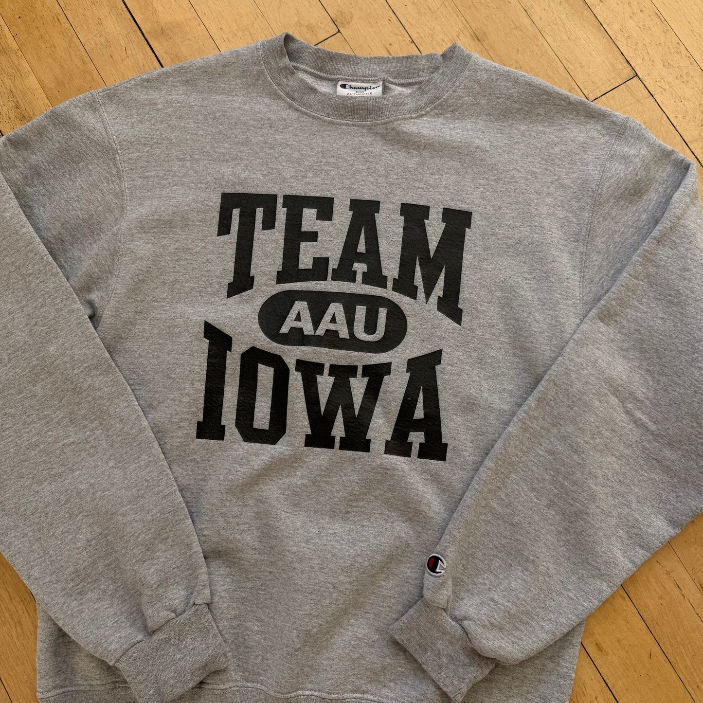 Y2K Champion Team Iowa CrewNeck Sz L