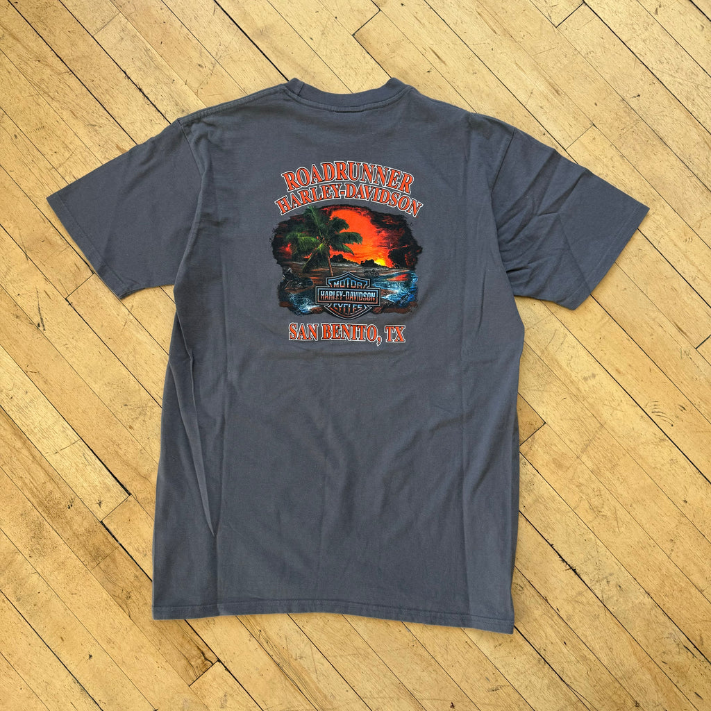 Y2K Harley Davidson San Benito Texas T-shirt Sz L