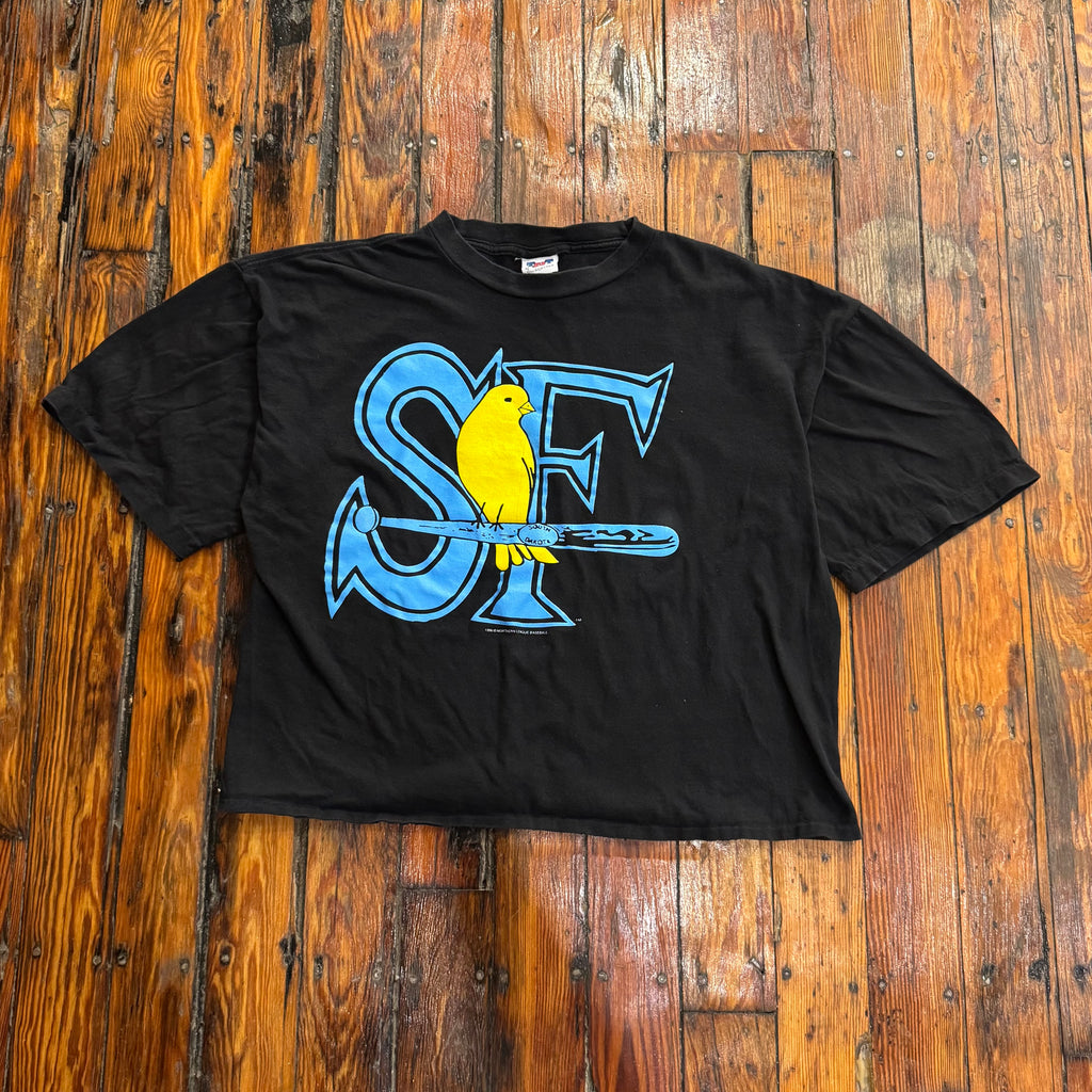 Vintage Sioux Falls Canaries T-shirt Sz L