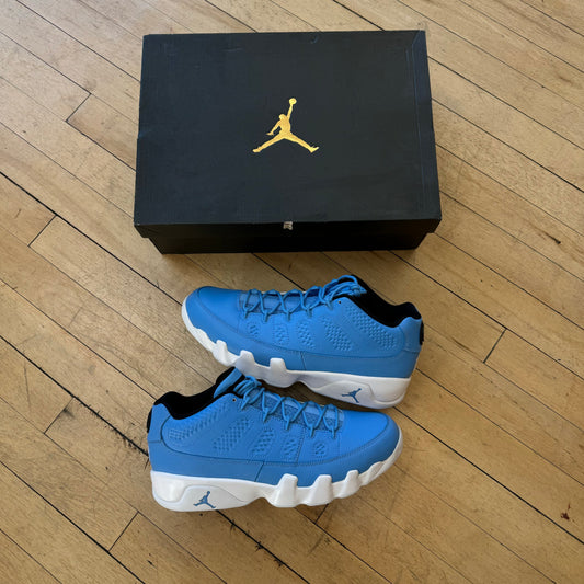 Jordan 9 Retro Pantone Sz 9