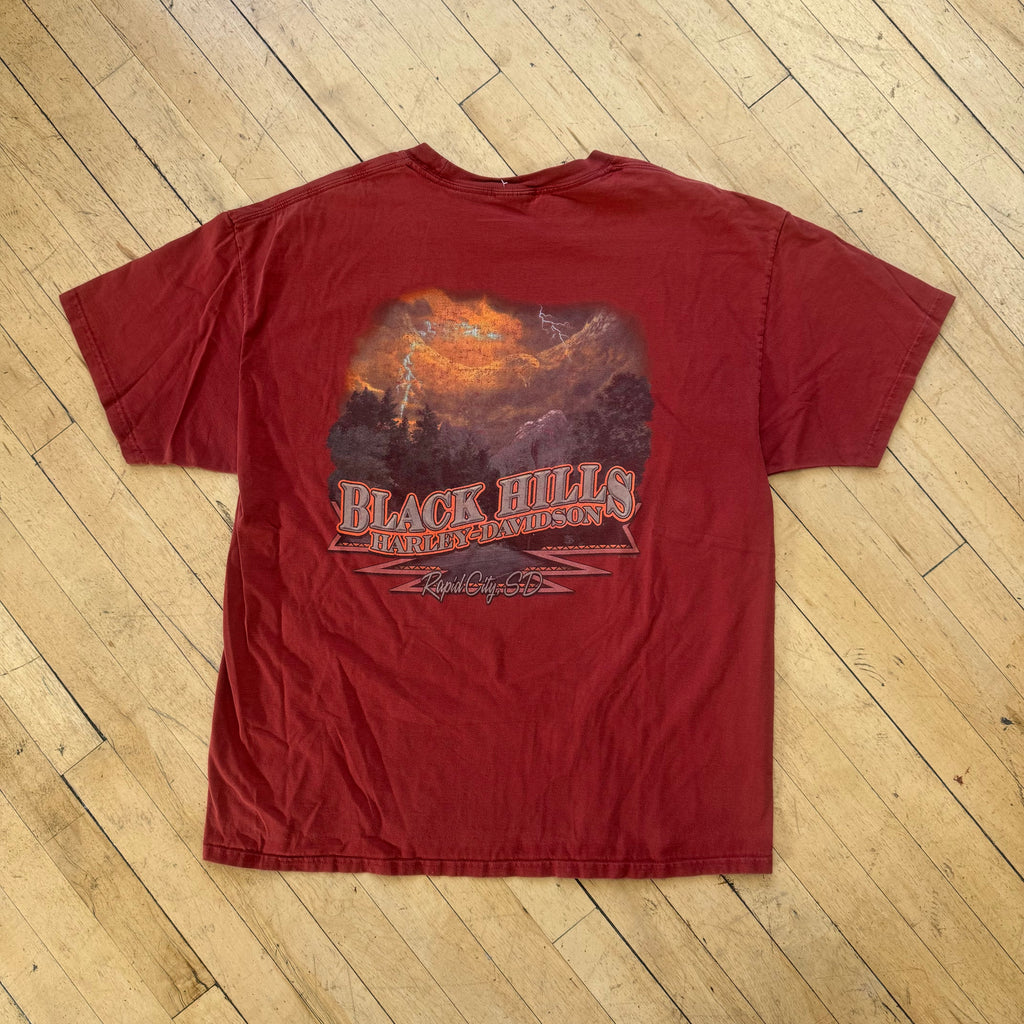Harley Davidson Black Hills T-shirt Sz L