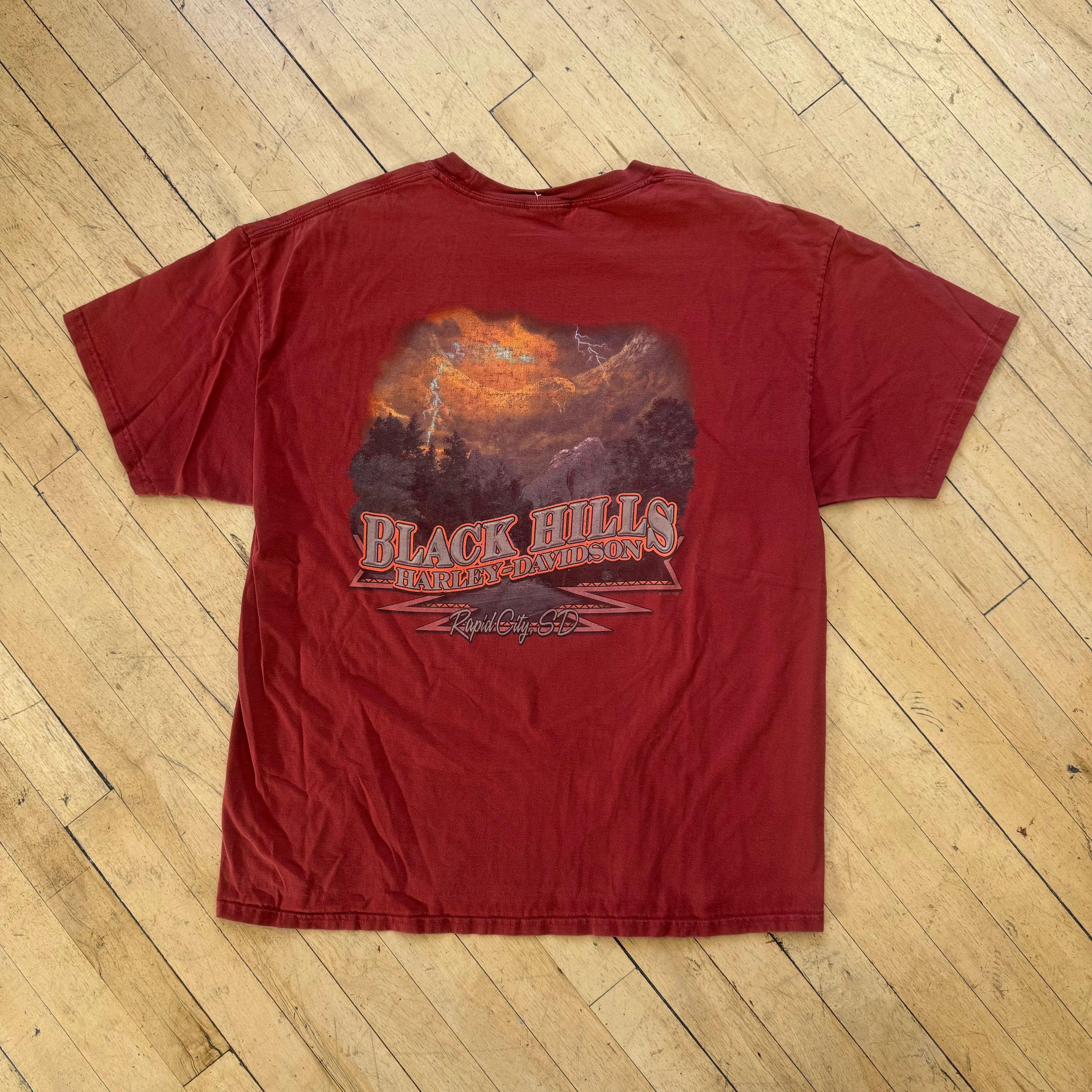 Harley Davidson Black Hills T-shirt Sz L