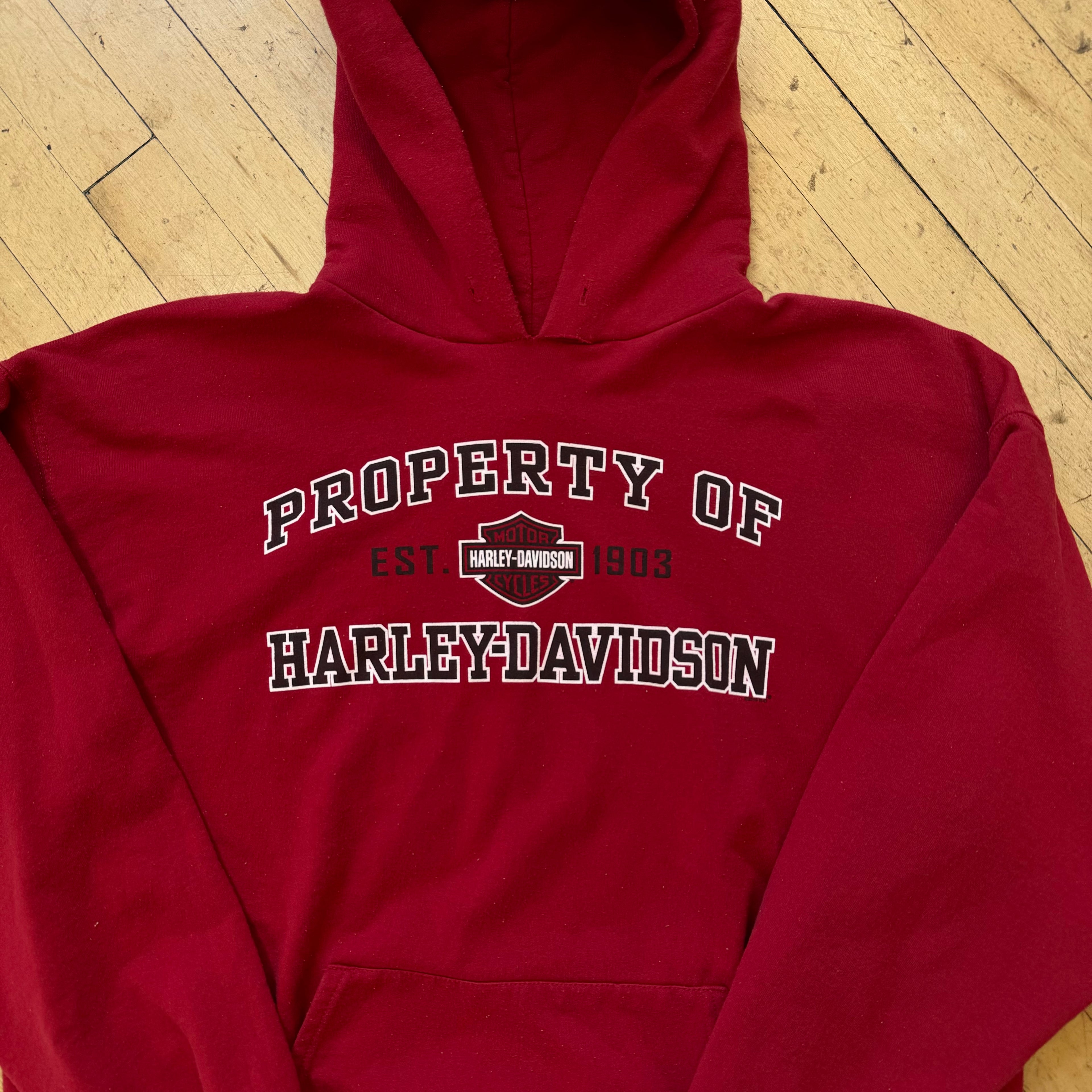 Y2K Property Of Harley Davidson Hoodie Sz L
