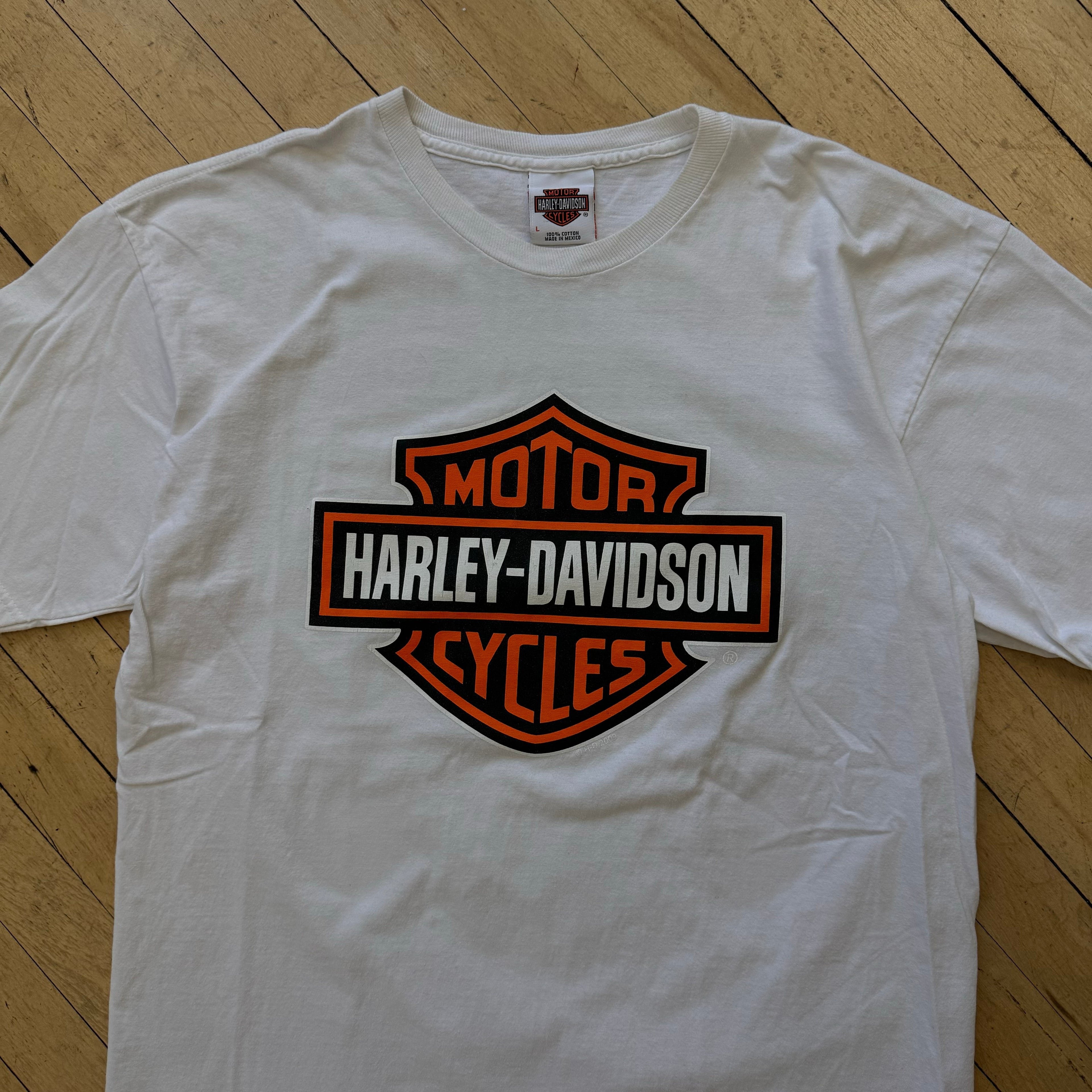 Vintage Harley Davidson Okaboji T-shirt Sz L