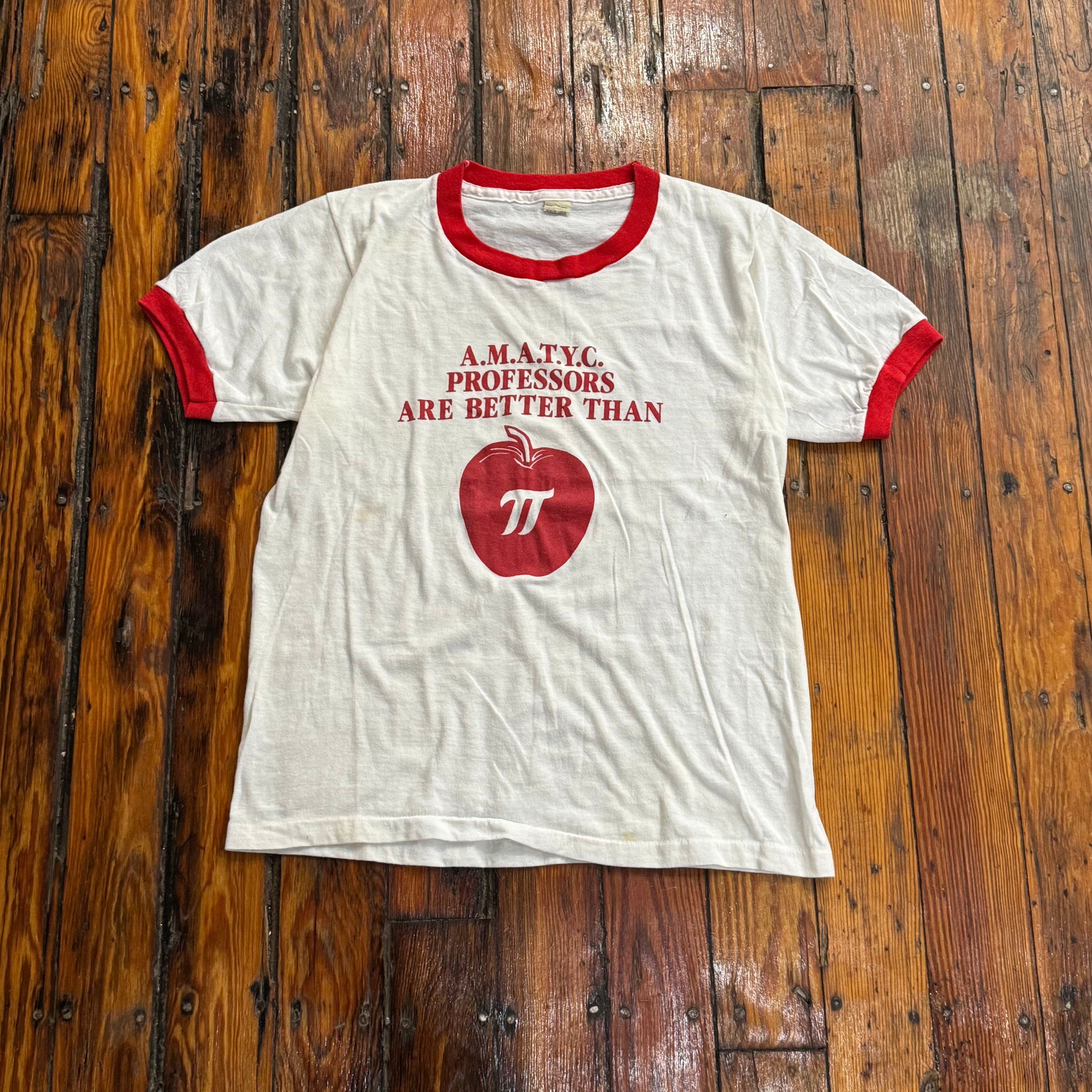 Vintage AMATYC Professors Are better than T-shirt Sz M