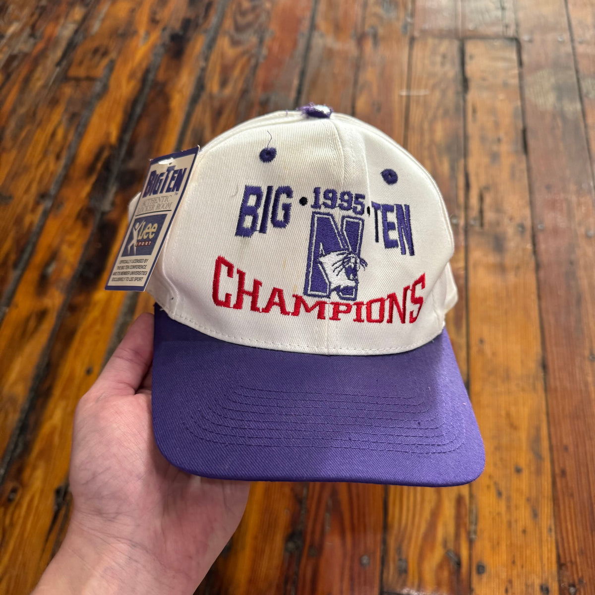Vintage Big Ten Champions SnapBack Hat
