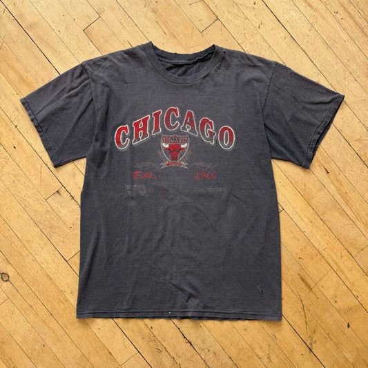 Vintage Chicago Bulls striped T-shirt Sz L