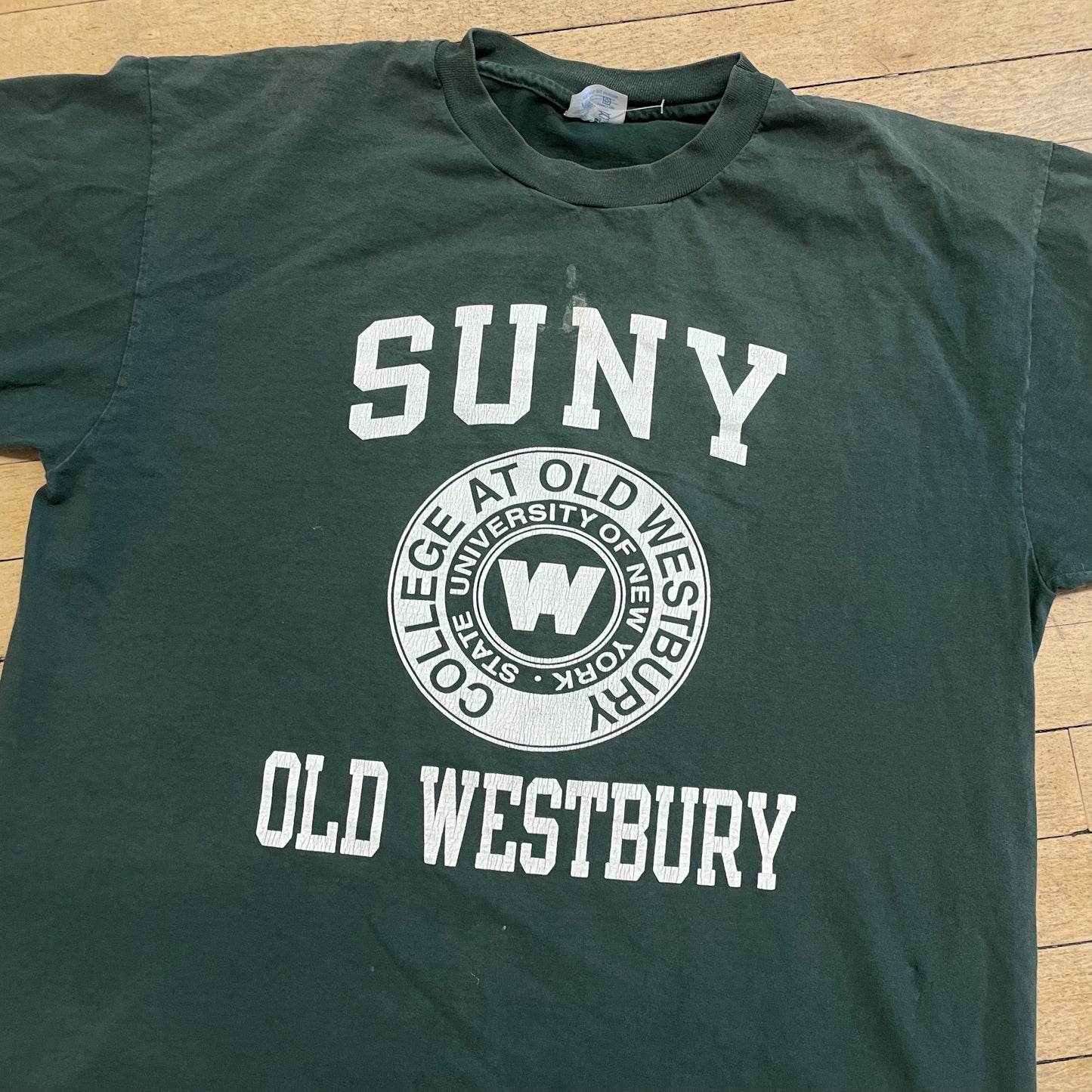 90’s SUNY Old Westbury Champion T-shirt Sz XL