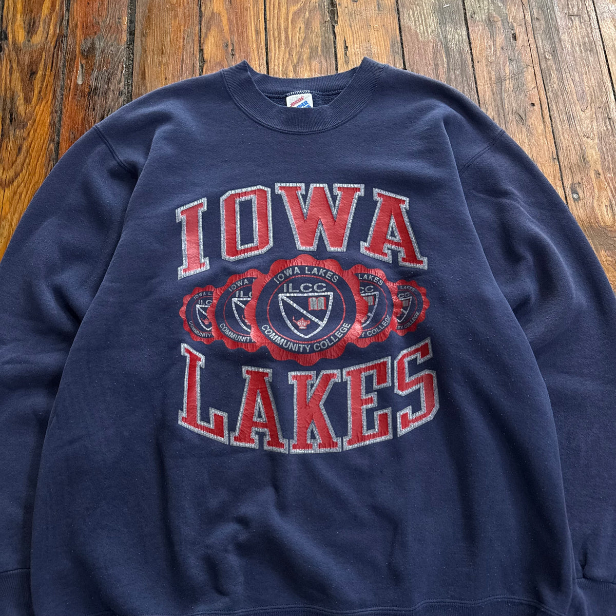 Vintage Iowa Lakes Crewneck Sz L