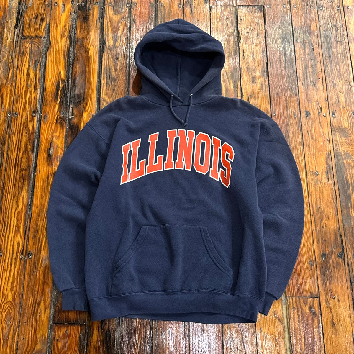 Vintage Illinois SpellOut Hoodie Sz M