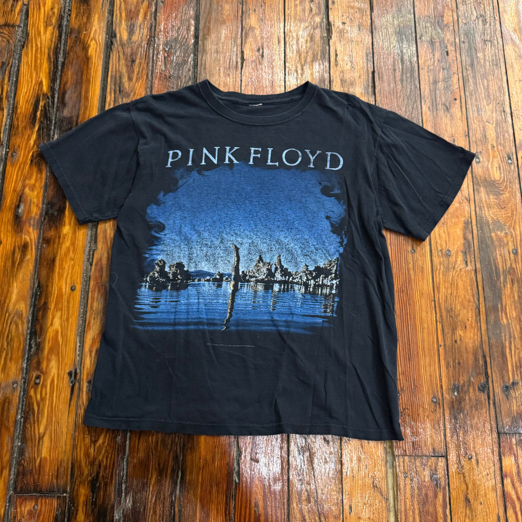 00s Pink Floyd Wish you were Here T-shirt Sz M