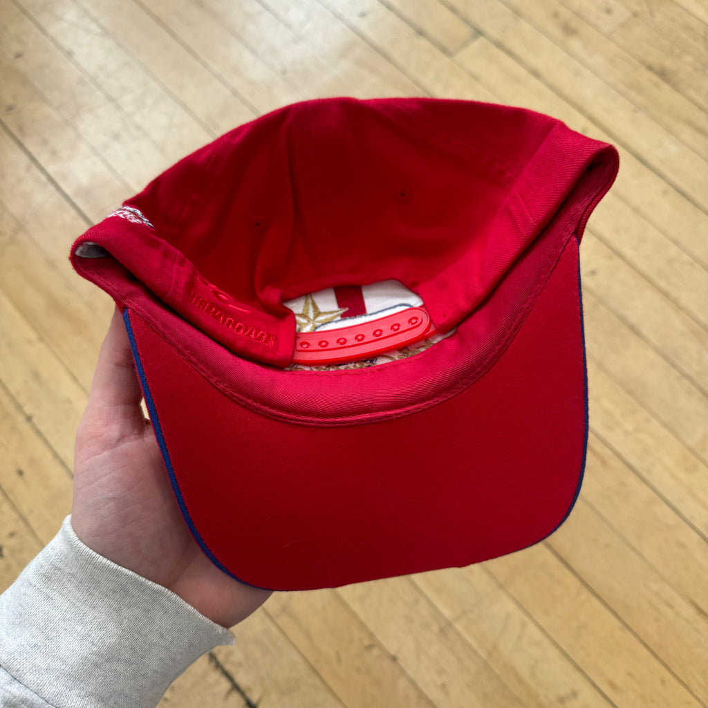 Vintage Dale Earnhardt BudWiser SnapBack Hat