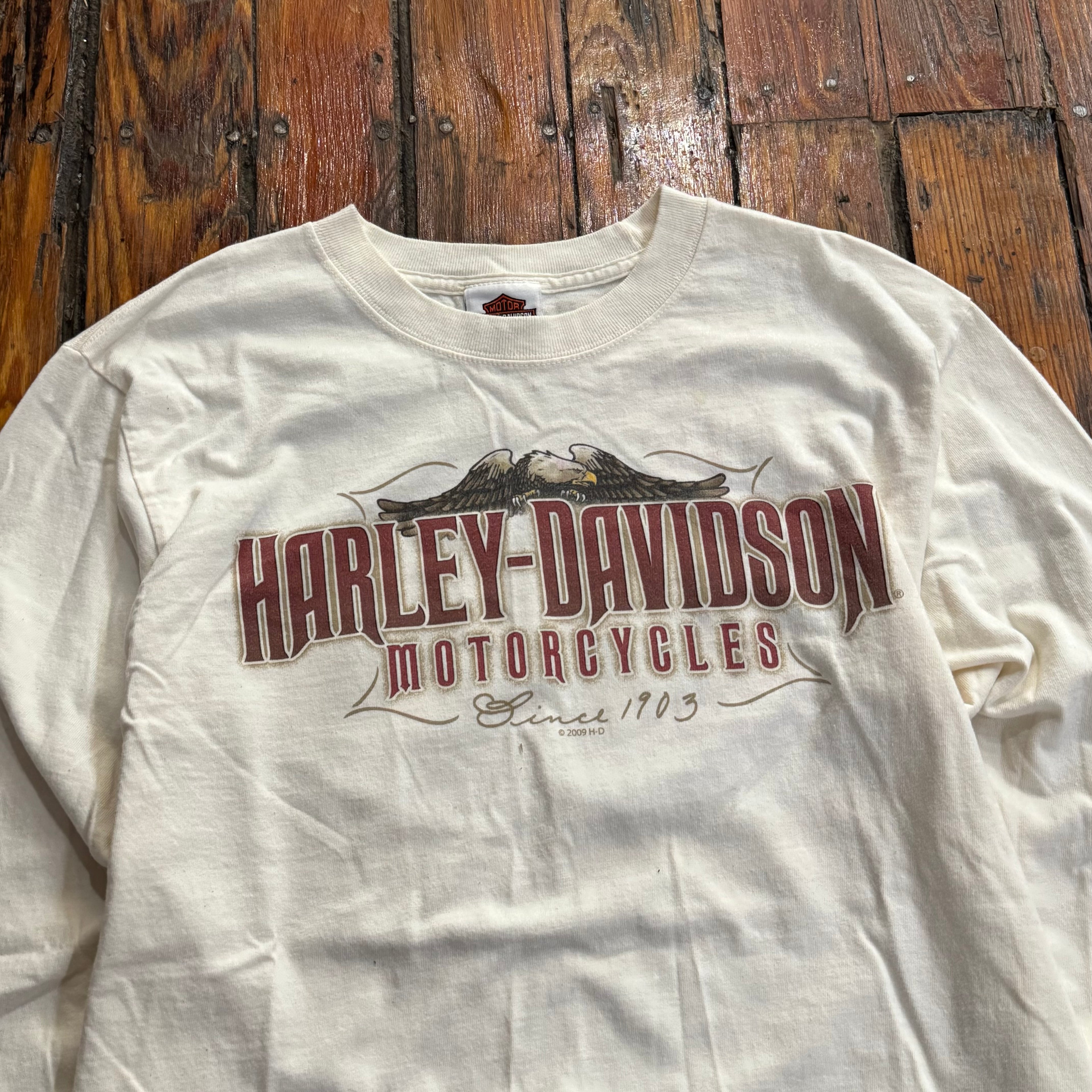 Y2K Harley Davidson Feel the Power T-shirt Sz S