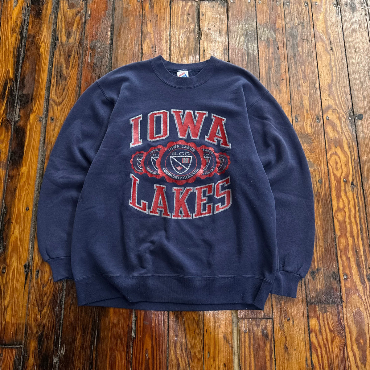 Vintage Iowa Lakes Crewneck Sz L