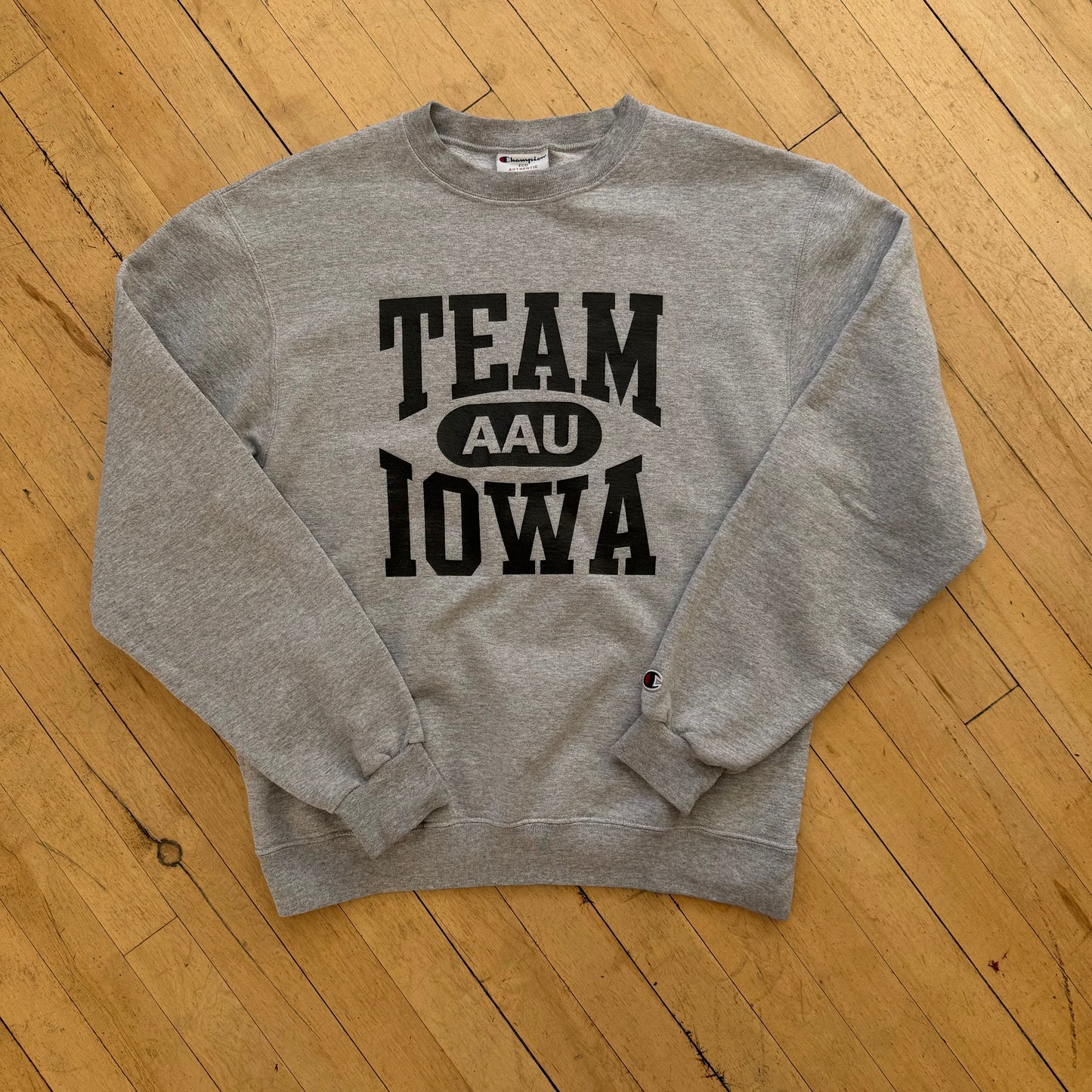 Y2K Champion Team Iowa CrewNeck Sz L