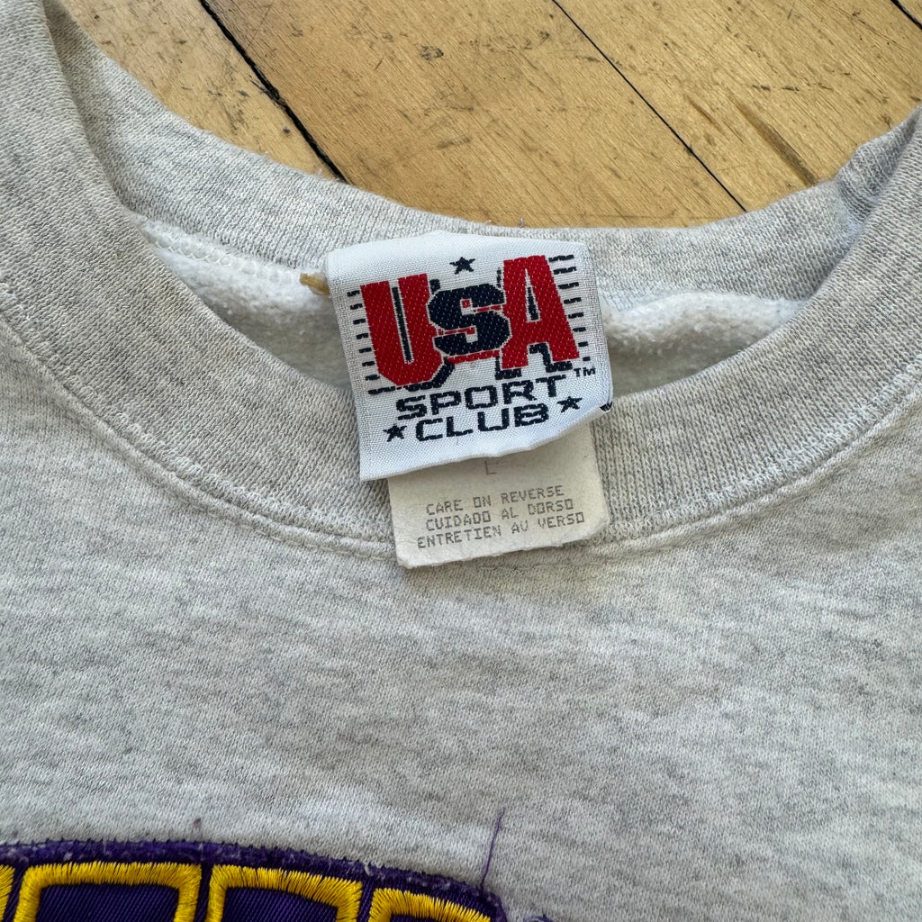 Vintage Minnesota Vikings Carter Embroidered Crewneck Sz L