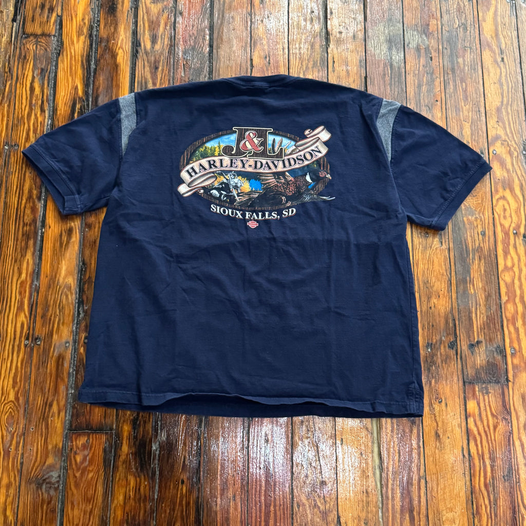Vintage Sioux Falls Harley Davidson T-shirt Sz L