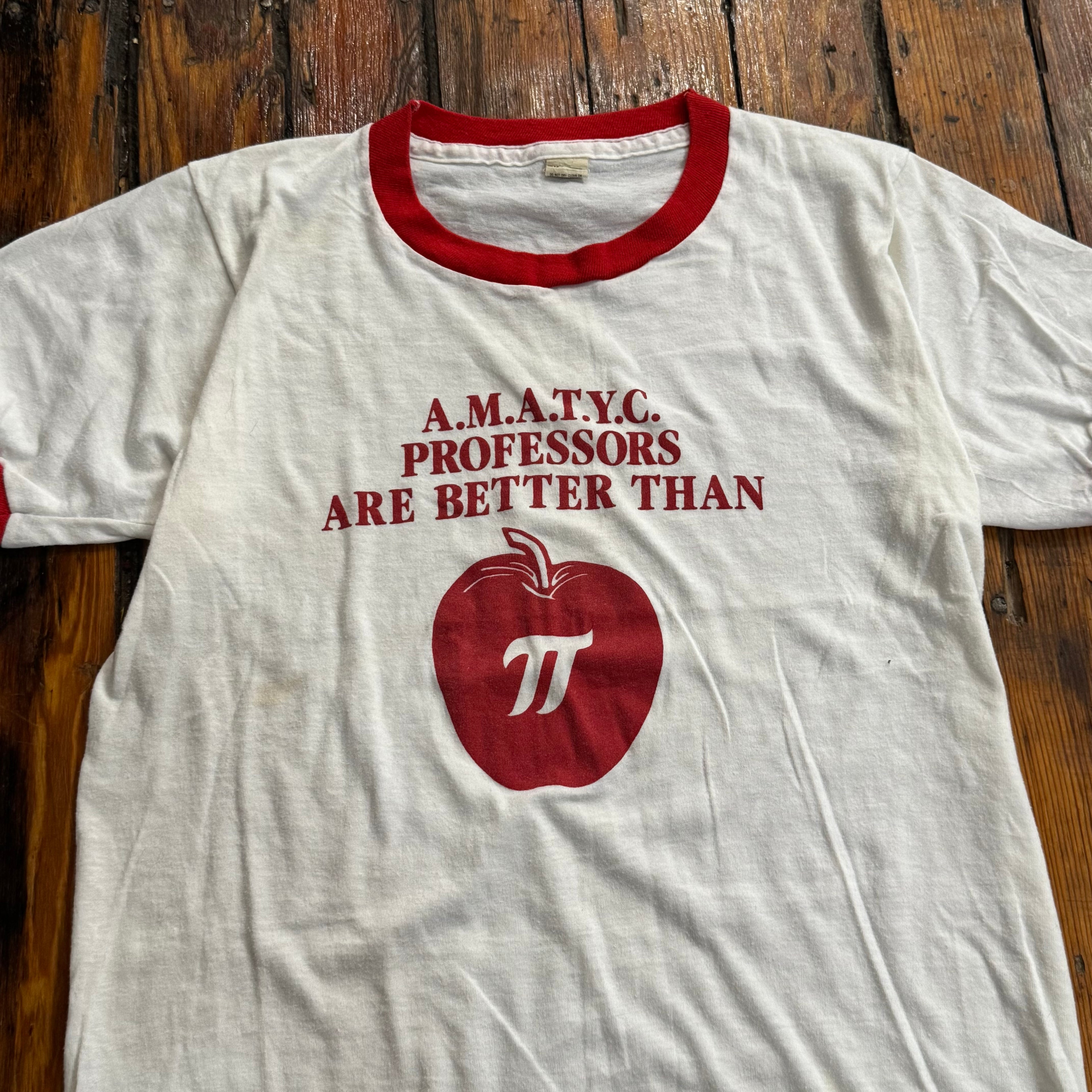 Vintage AMATYC Professors Are better than T-shirt Sz M