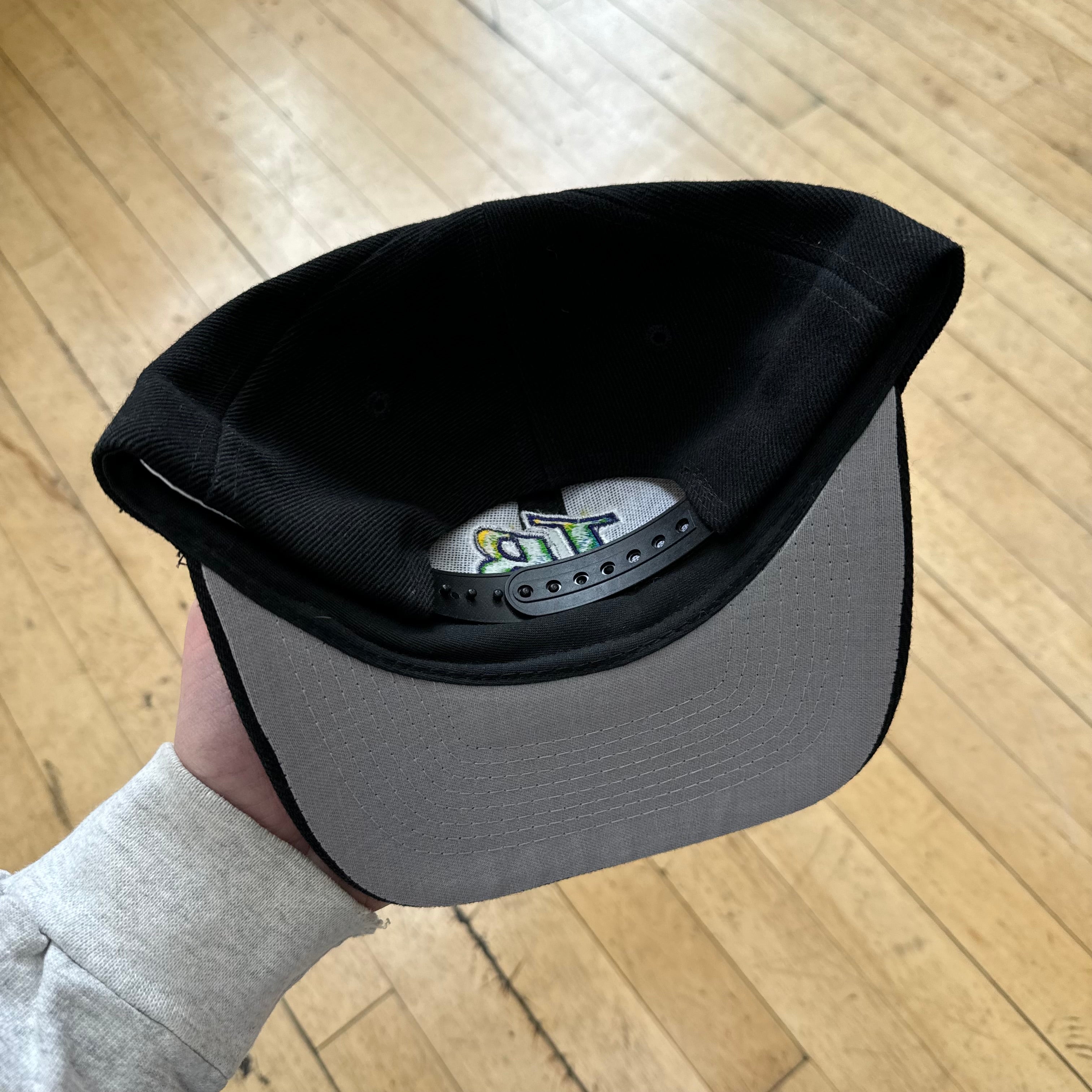 Vintage Tampa Bay Devil Rays SnapBack Hat New