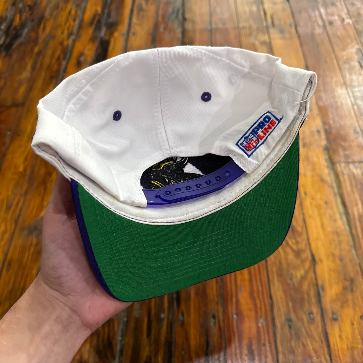 Vintage Minnesota Vikings Logo Athletic Pro Line Shark Tooth Snapback Hat (NEW)
