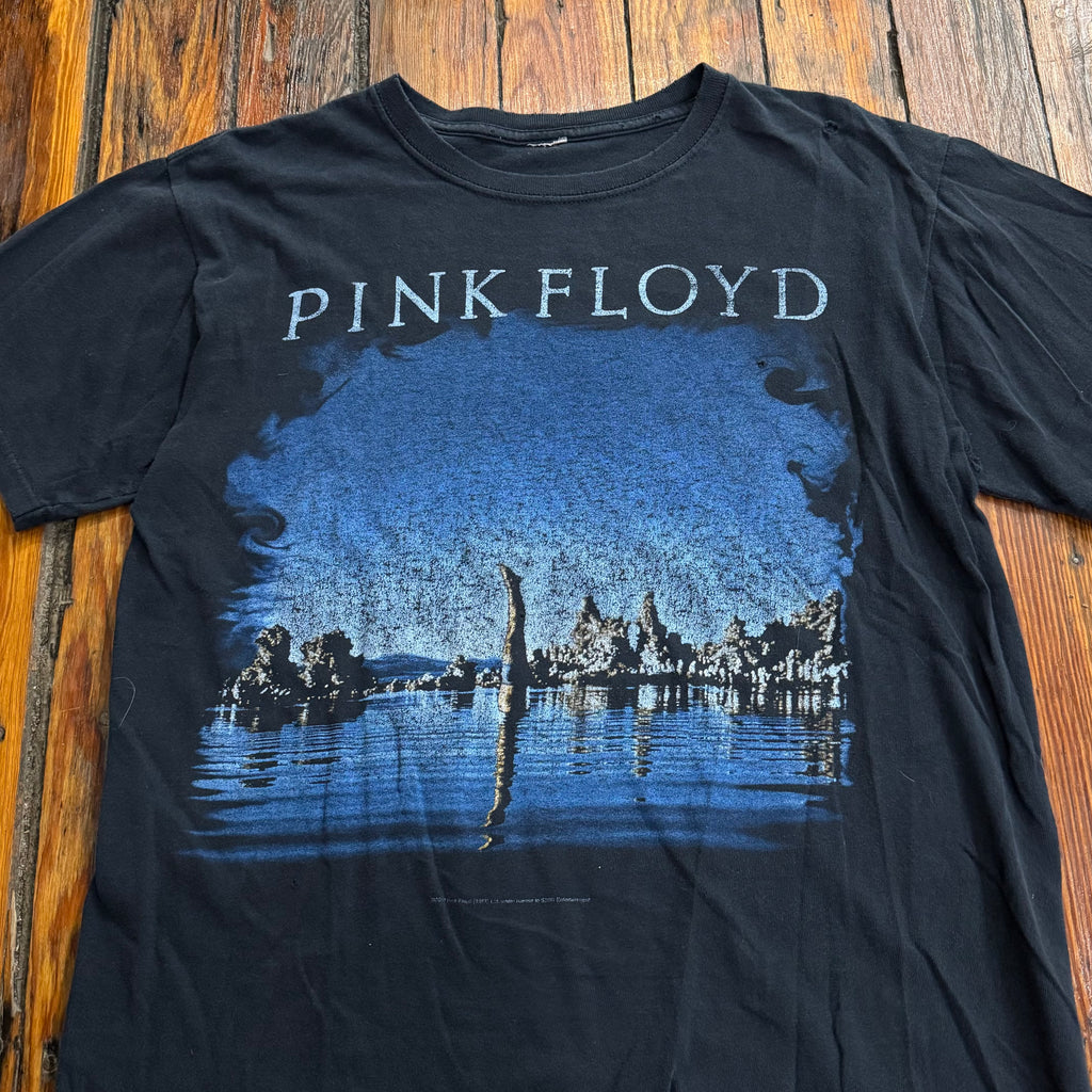 00s Pink Floyd Wish you were Here T-shirt Sz M