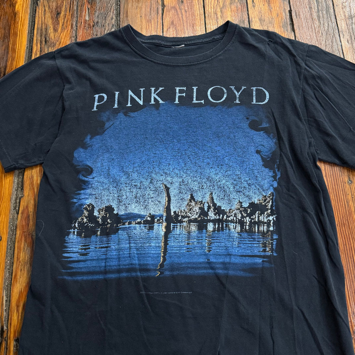 00s Pink Floyd Wish you were Here T-shirt Sz M