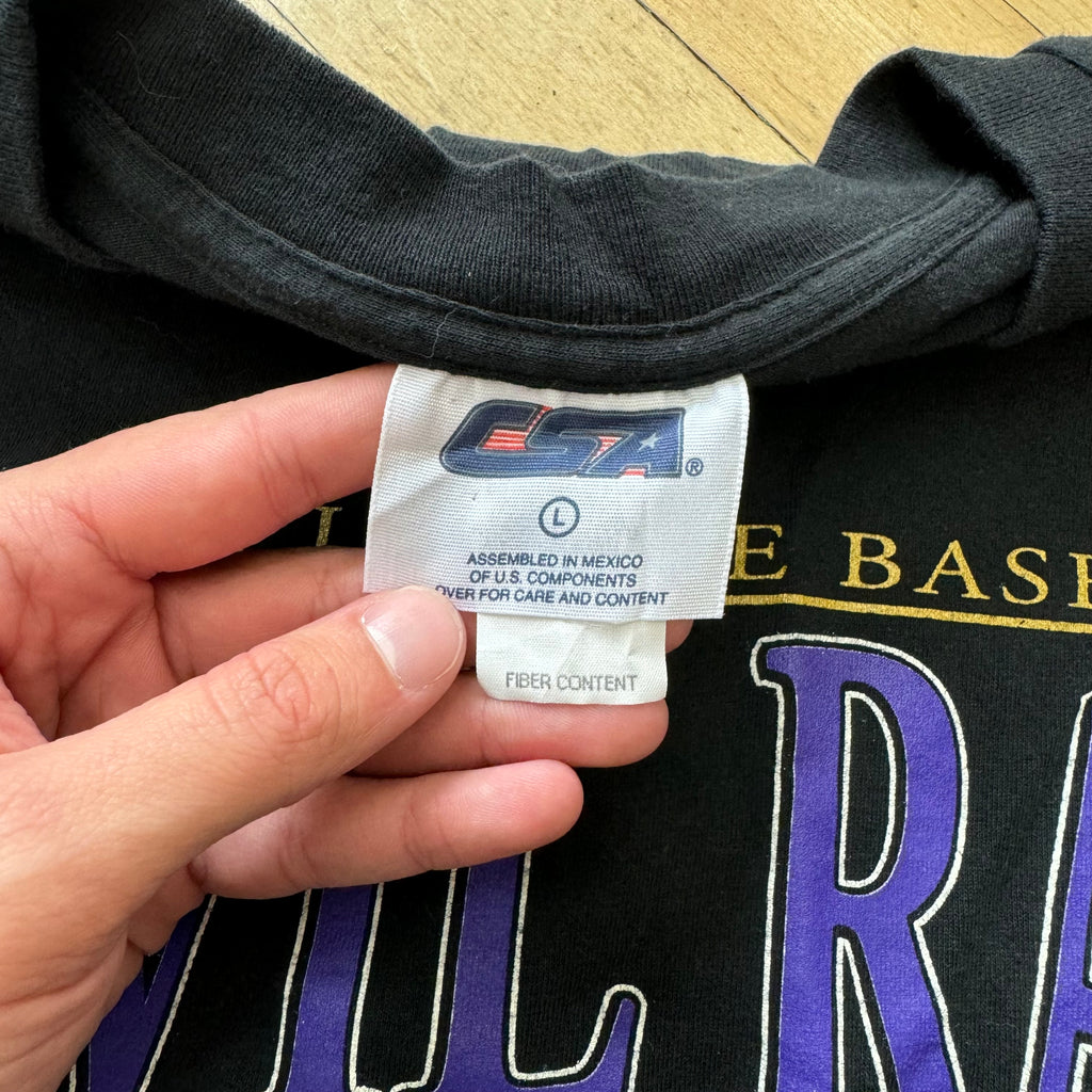 Vintage Tampa Bay Devil Rays T-shirt Sz L