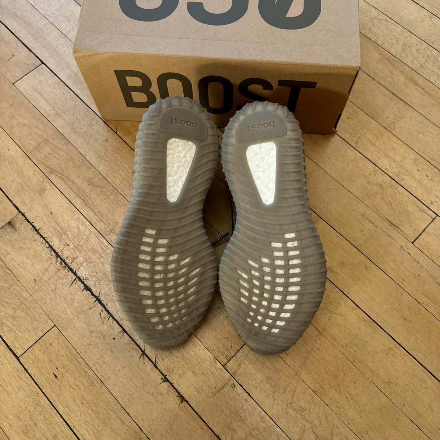 Yeezy 350 Boost Beluga Reflective Sz 9.5 (DS)