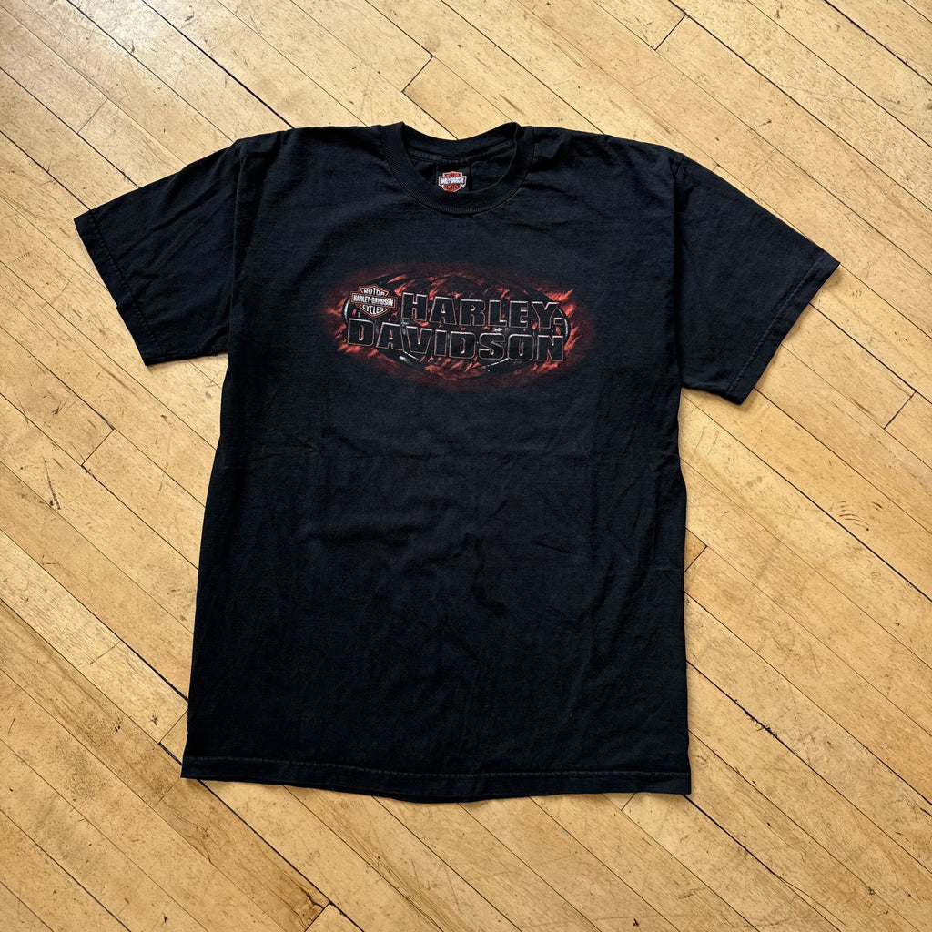 Y2K Fairbanks Alaska Harley Davidson T-shirt Sz L