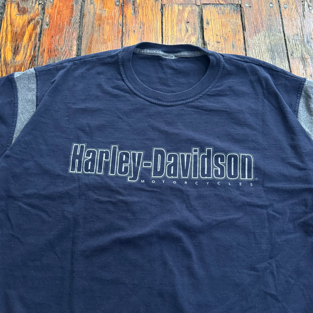 Vintage Sioux Falls Harley Davidson T-shirt Sz L