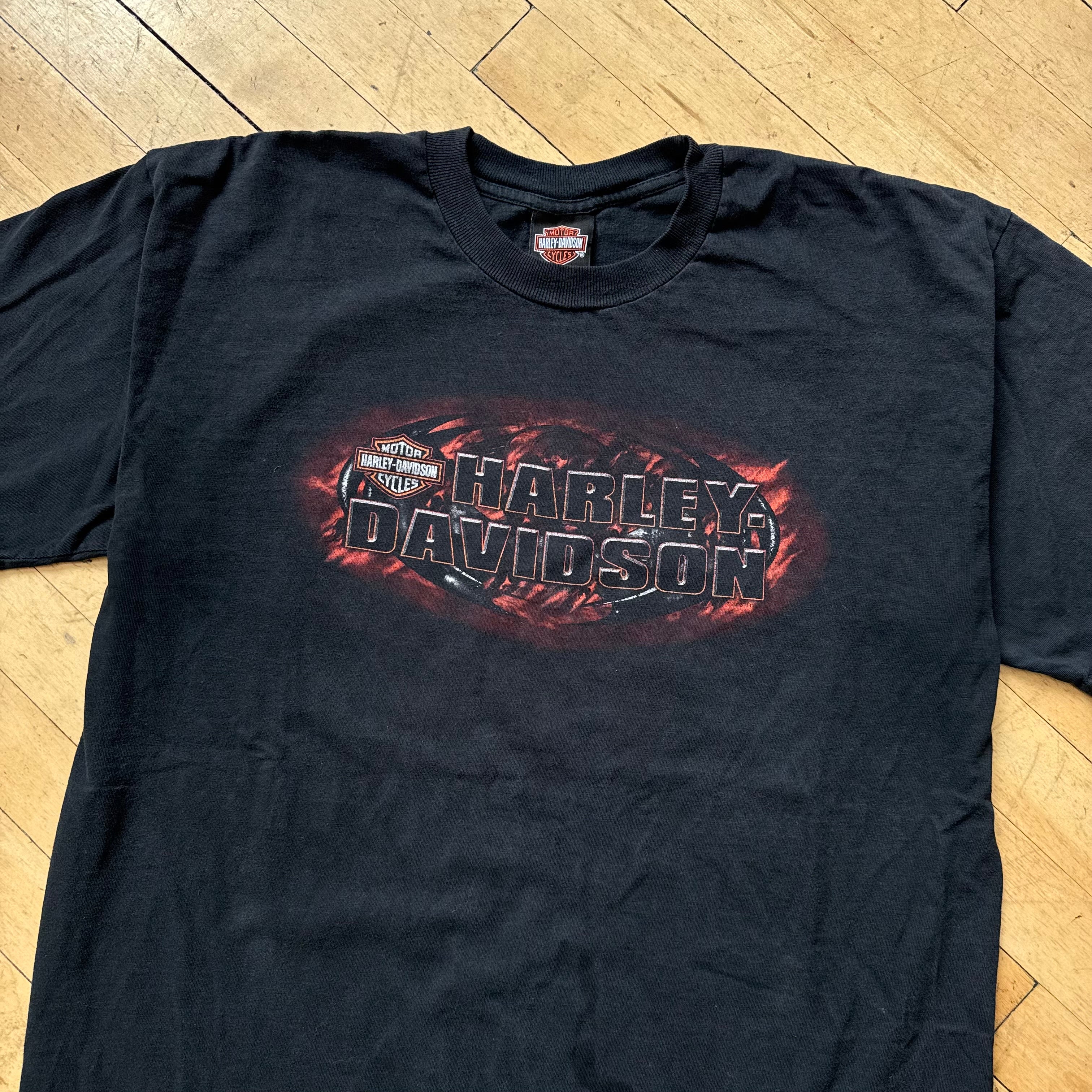 Y2K Fairbanks Alaska Harley Davidson T-shirt Sz L