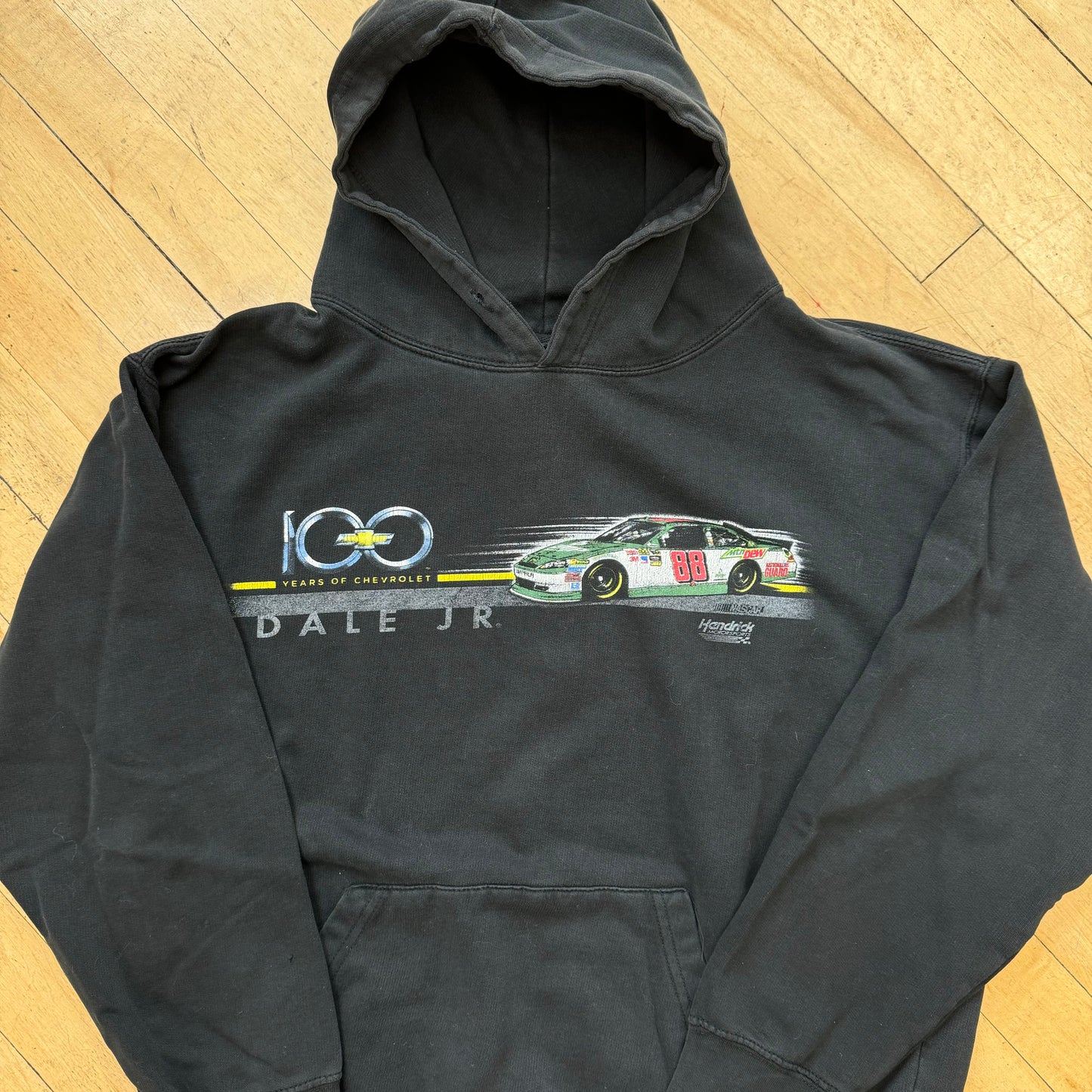 Vintage Dale Jr. Nascar Hoodie Sz L